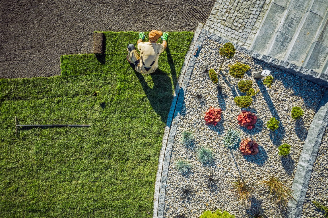 landscaping near me
