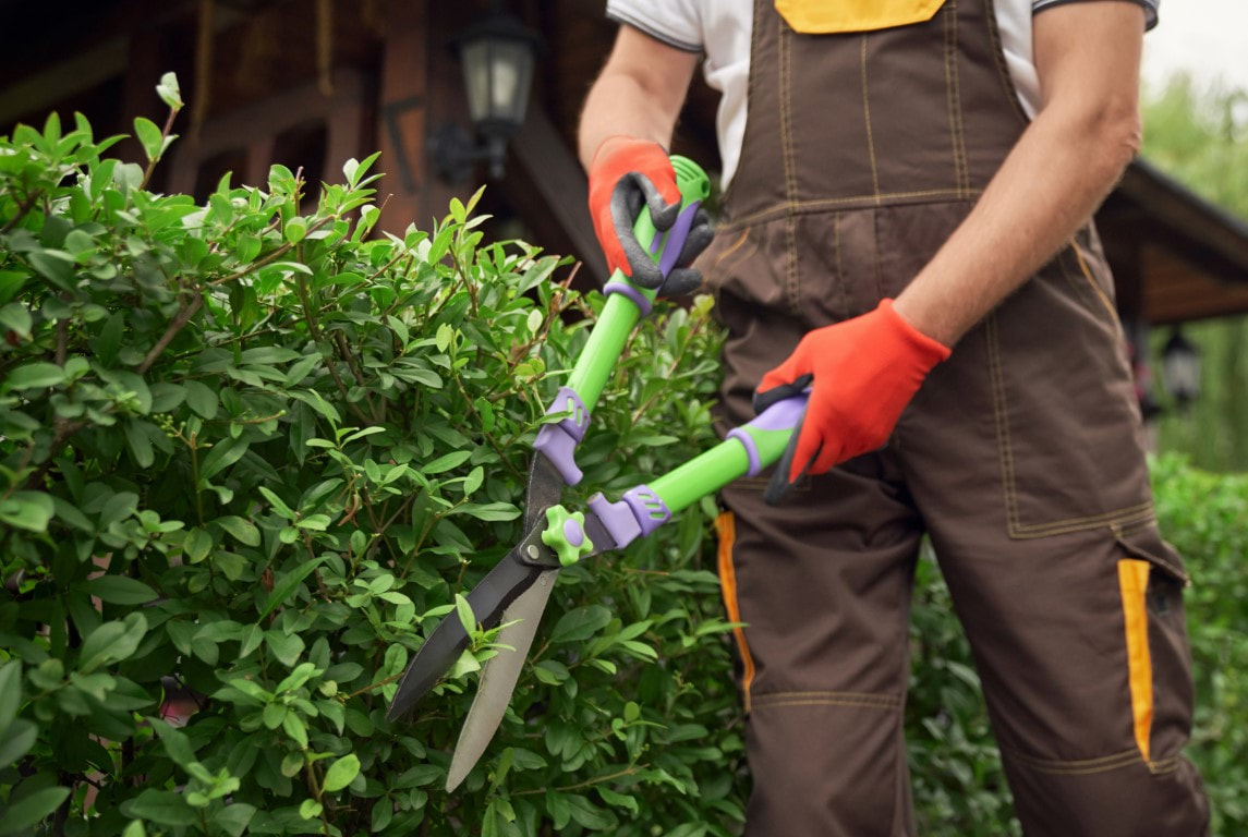 landscaping companies

