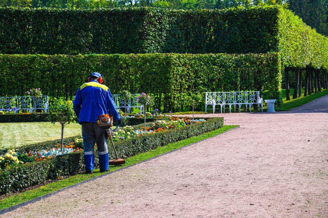 garden edging
