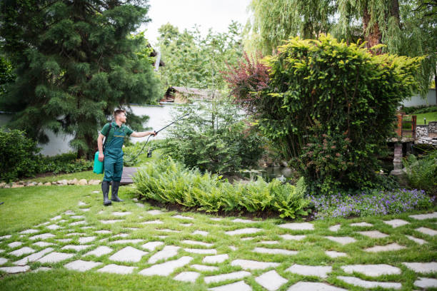 beautiful landscaping