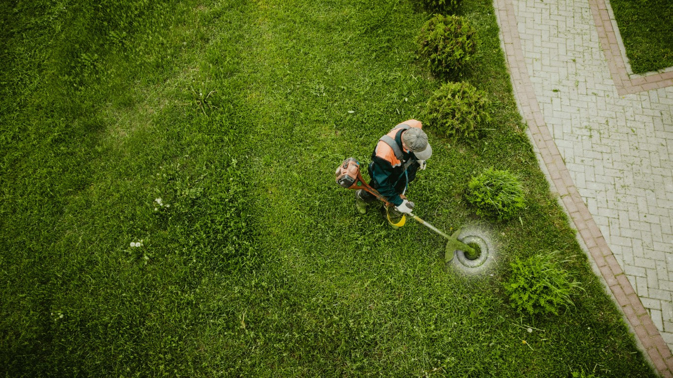 front yard landscaping
