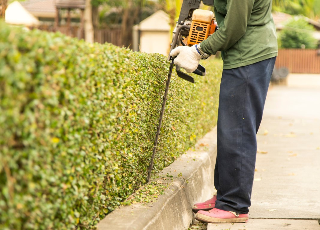 landscaping services near me
