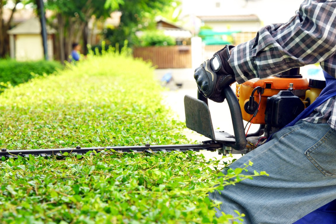 landscaper
