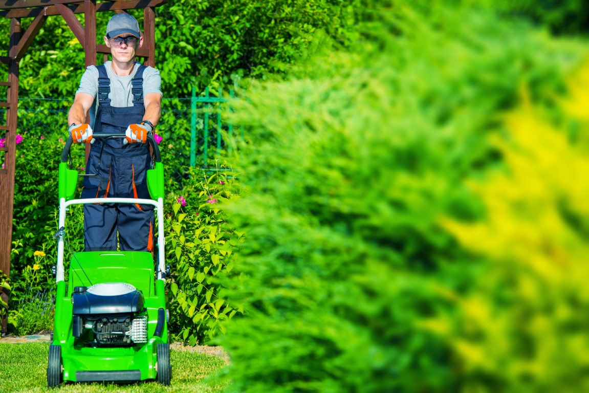 lawn care companies near me
