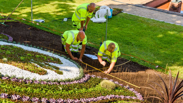 landscaping design