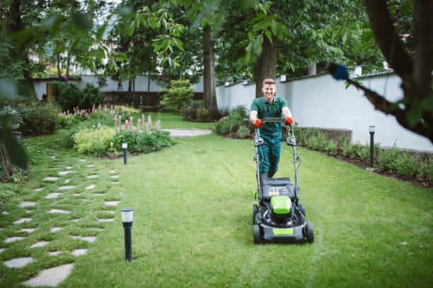 low maintenance landscaping

