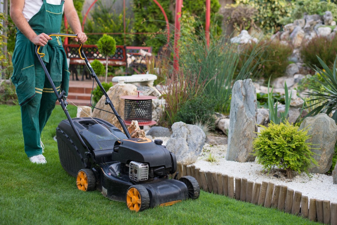 yard maintenance
