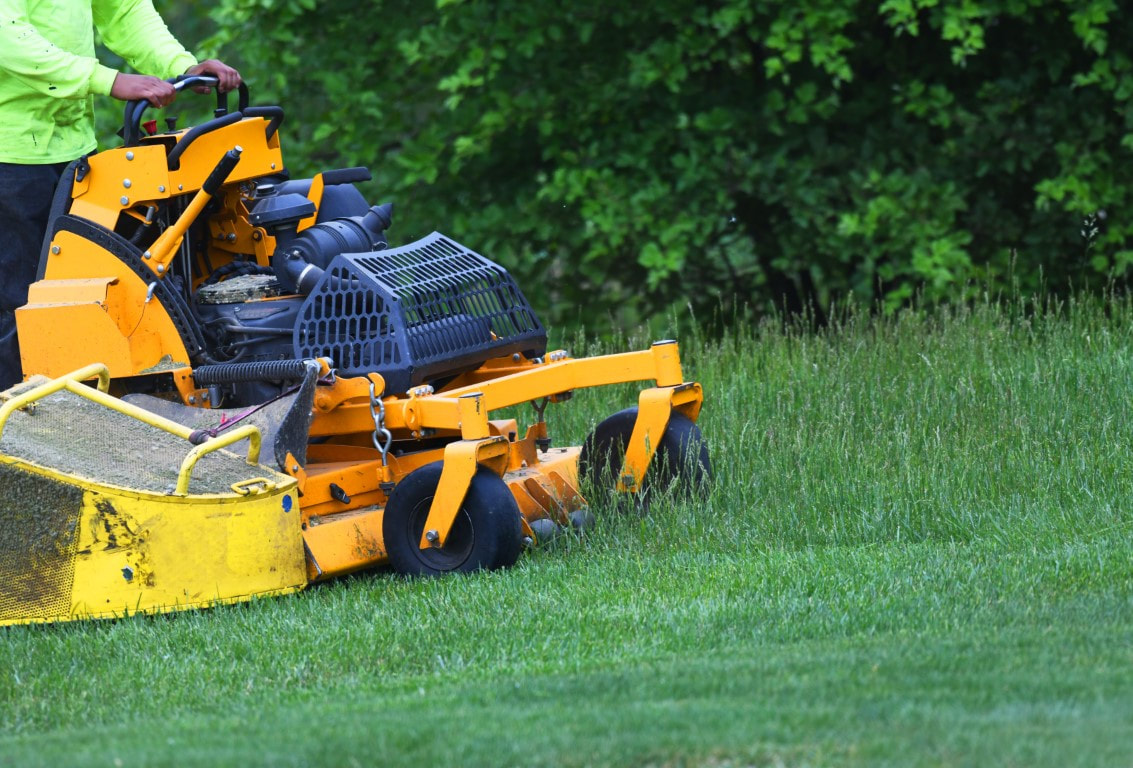 lawn maintenance