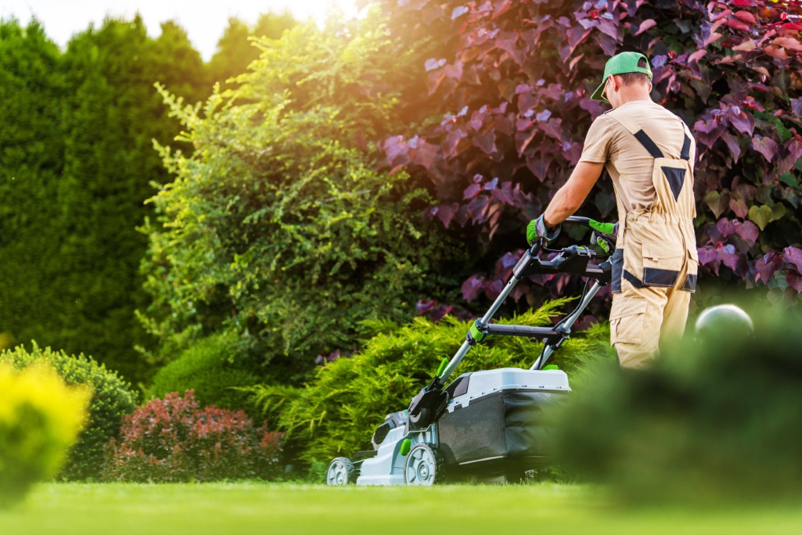 garden maintenance
